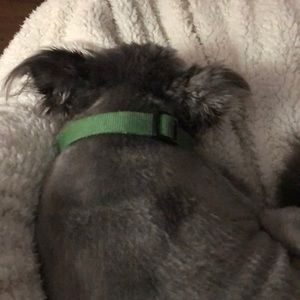 Meet your Posher, Allison